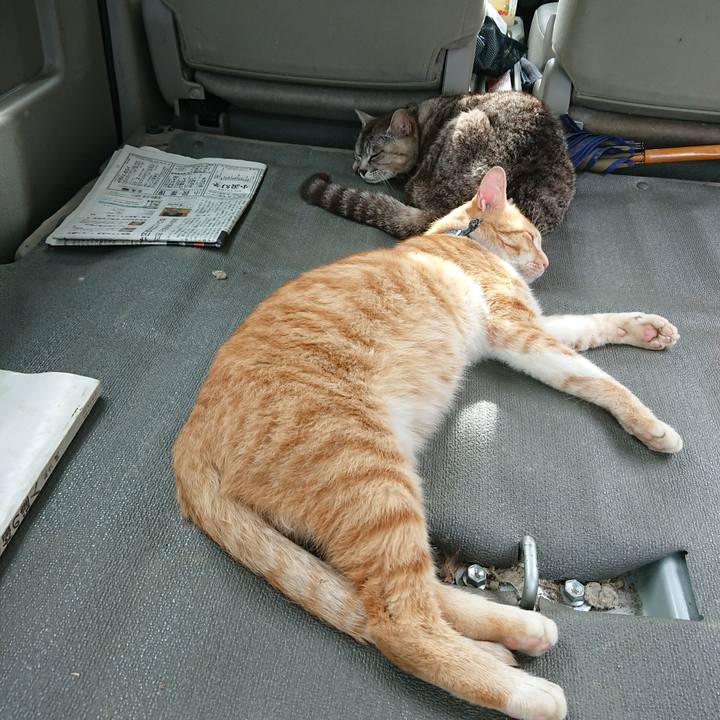 297c9b10 9674 4baf abf4 9190af181f9d 1563606624852