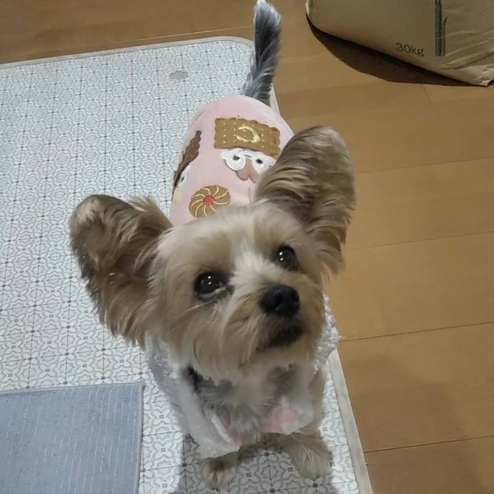 297cafe4 aa15 4ff3 9ffb dc02cfb3d9fb 1698924256976