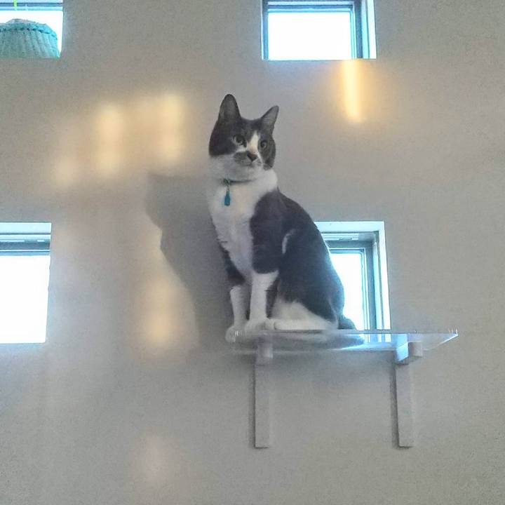 297cc958 70c3 4a8d bb4b e0d9907f4ed0 1641422791663