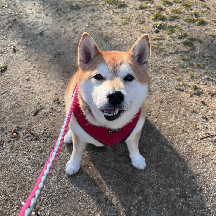 297cfeb4 d93b 45e7 8f85 ab2780a5bce8 1709537683921