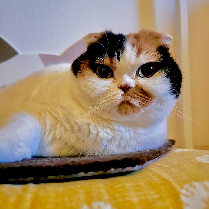 297d082c 577b 4475 a853 277be0b68247 1704923542093