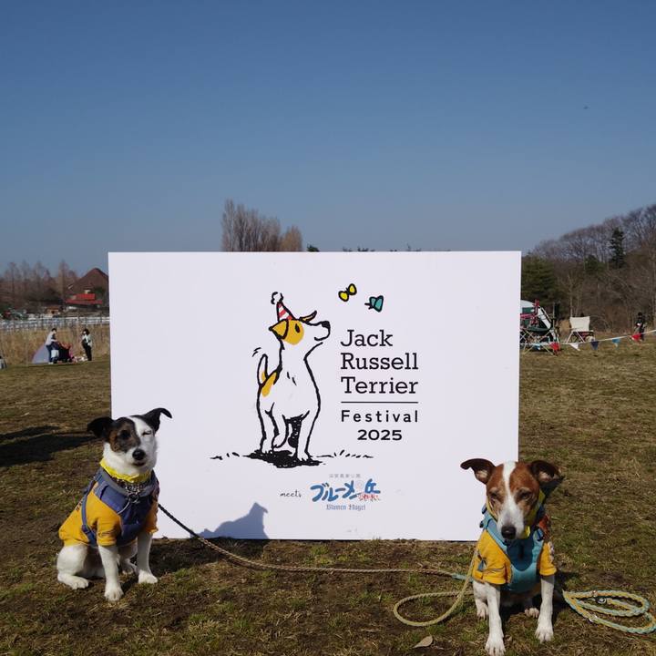 297d2073 3c4d 4e2e ae83 c369eddefa92 1742633515337