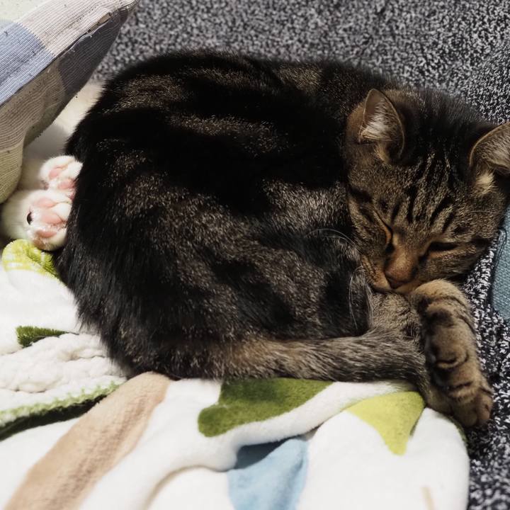 297d2643 8b01 49ad 85f0 5b27de3c56ec 1605954350356