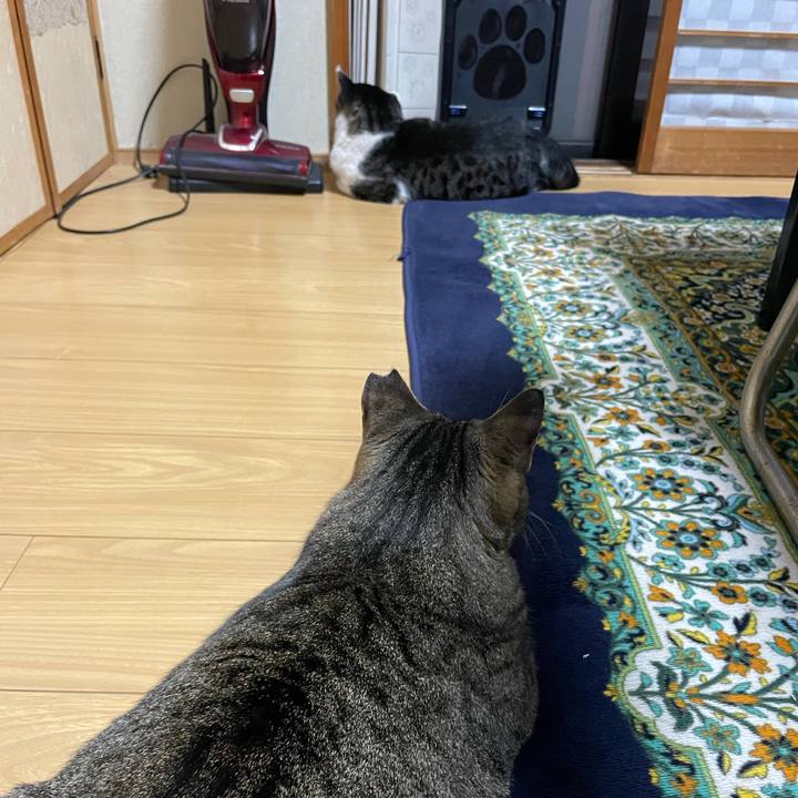 297d4672 daa8 406e ad4c 5daf7d139fdb 1633683736078