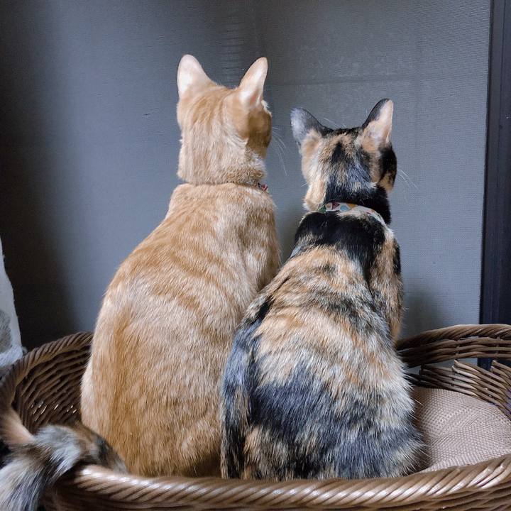 297d4ac6 eb96 4cb8 8c0f b89c5c04fc9b 1568975466885