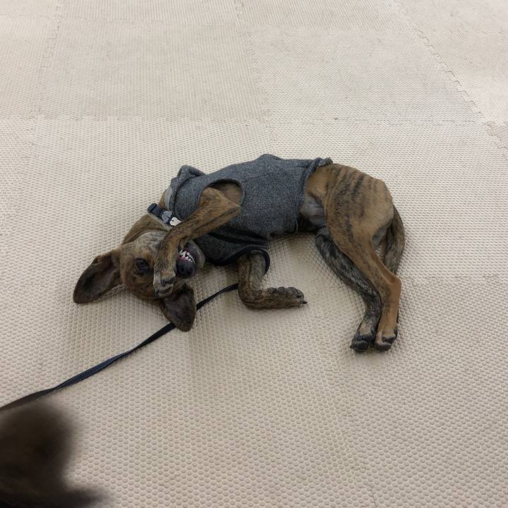 297d850f ed84 49b1 9541 f22d0b788810 1576329623519