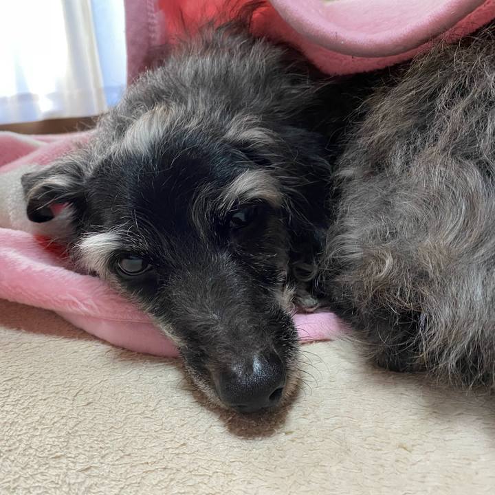 297dd454 b80e 4902 a217 06e0558f33b3 1706656684925