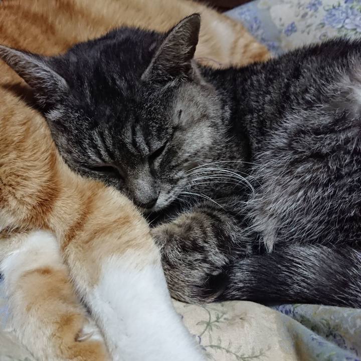 297e2871 d57e 4d3b ad41 f08909cd20a5 1579354348071