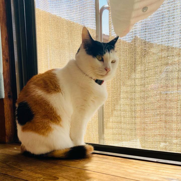 297e28bb 81e9 4e93 8d47 81a42b0b5b0c 1697941509864