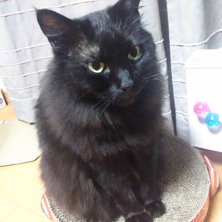 297e2bd4 79a6 4b87 9381 24af773636a9 1552343996599