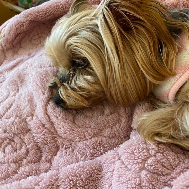 297e2c73 b33f 43d6 9208 04cc42afd2a6 1642034440760