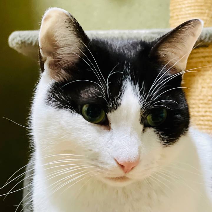 297e42fe fb40 4ad0 9821 6ec1f761af94 1612577471765