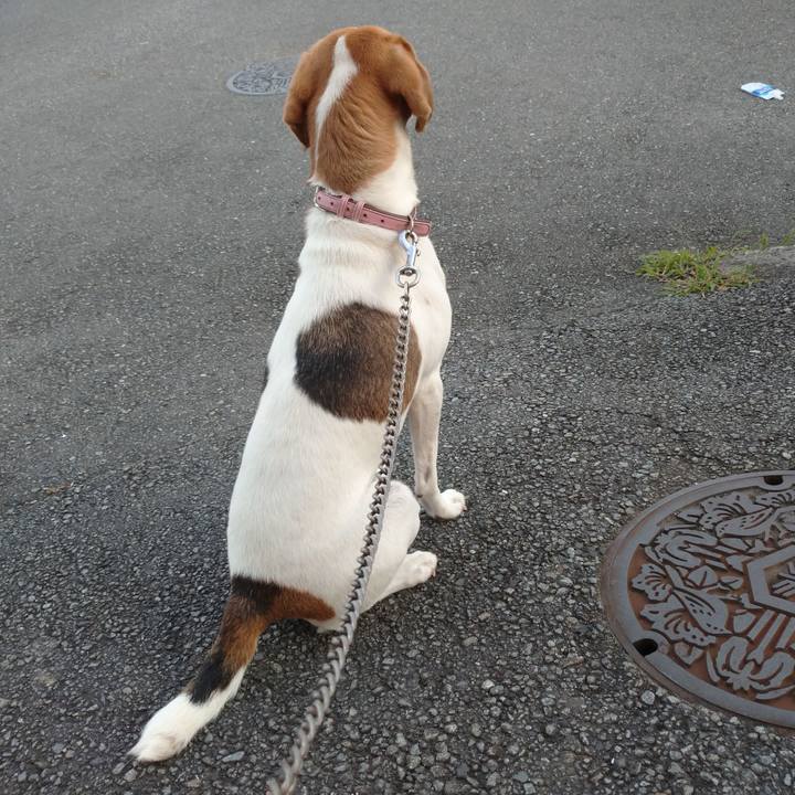 297e4b8b c4bb 49f0 94ca 973f385e6da5 1595079835079