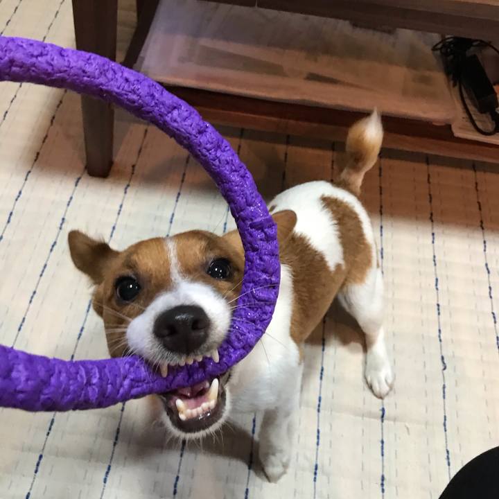 297e6098 5b59 448d 8293 10e9c319c4bb 1629892459236