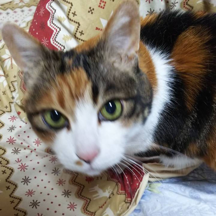 297e94ce 2670 4664 9bb0 3c125de72b83 1554155325803