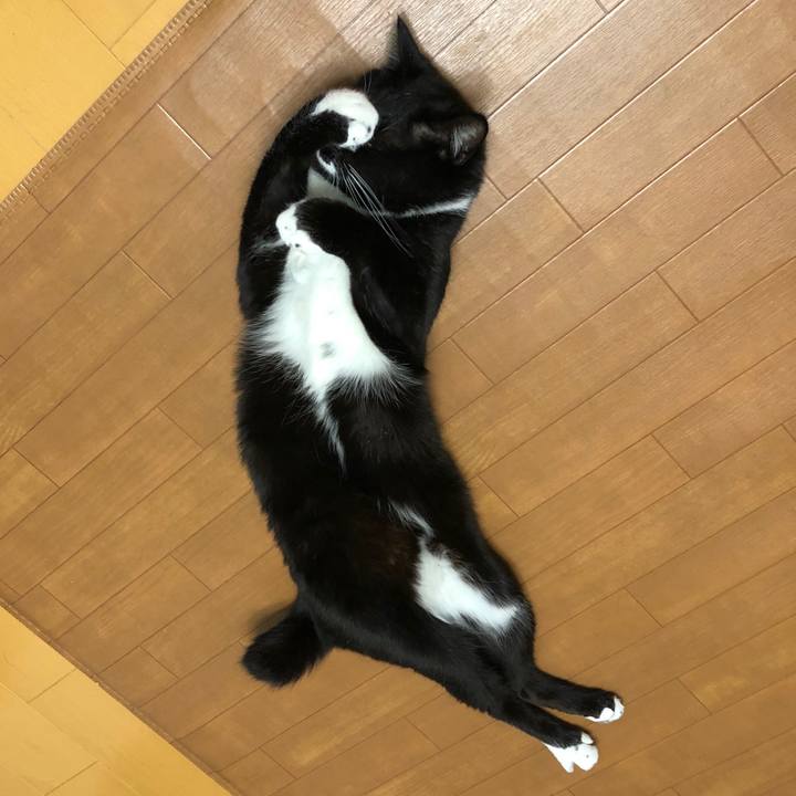 297ebfbc b169 4c44 849e c48f47fedd44 1590032712969