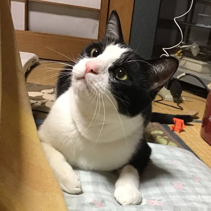 297f0daa 08bf 4d43 9c5d d72c31c7b9b1 1685271508076