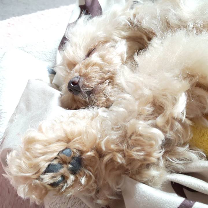 297f0e49 00fd 4032 bf93 c93e0060cf7a 1575120848079