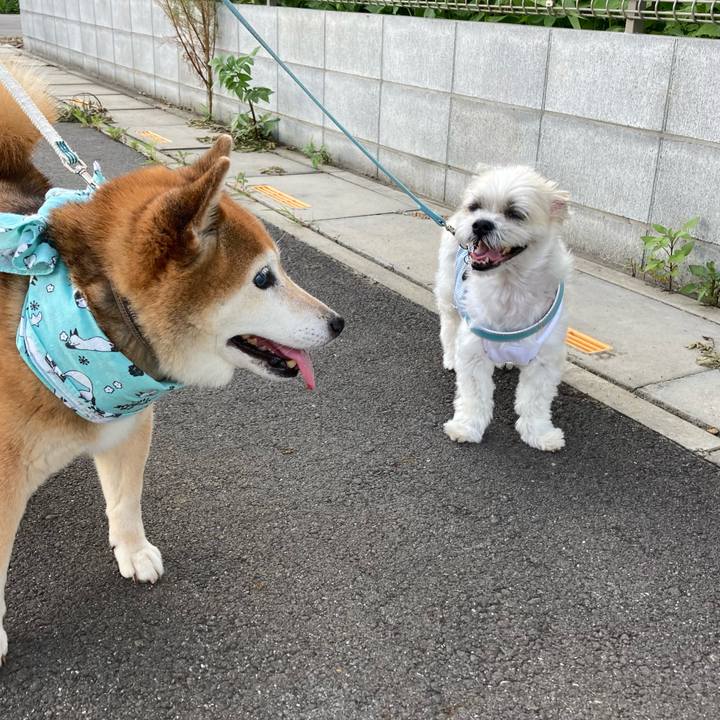 297f2dca d44a 4291 a2ea eca8ea93309b 1721379958228