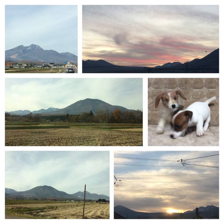 297f43f6 133f 4434 8f12 a84fce526f93 1510570641836