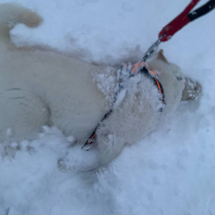 297f8d79 8576 4b00 a1f6 4f6dd119e354 1673304575195