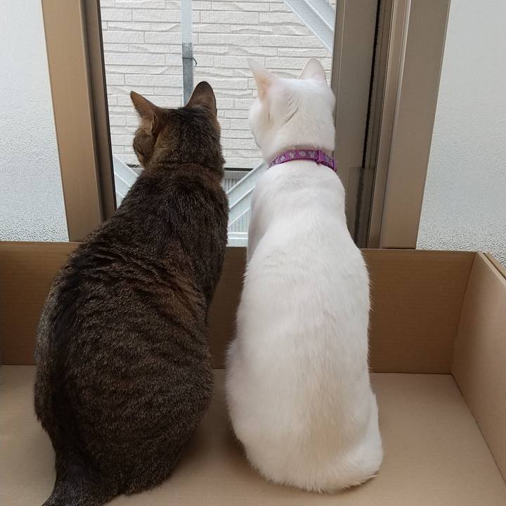 297f8d95 5a8a 42ef a856 ceff46cf994d 1588766345451