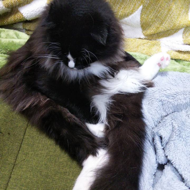 297f93db 66f5 456a 8aa7 4b22d1f0f793 1655870676124