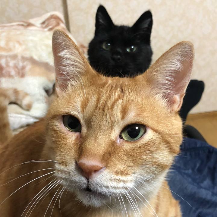 297fa1a7 2fdc 4527 94de d5b337b354dc 1637062525384