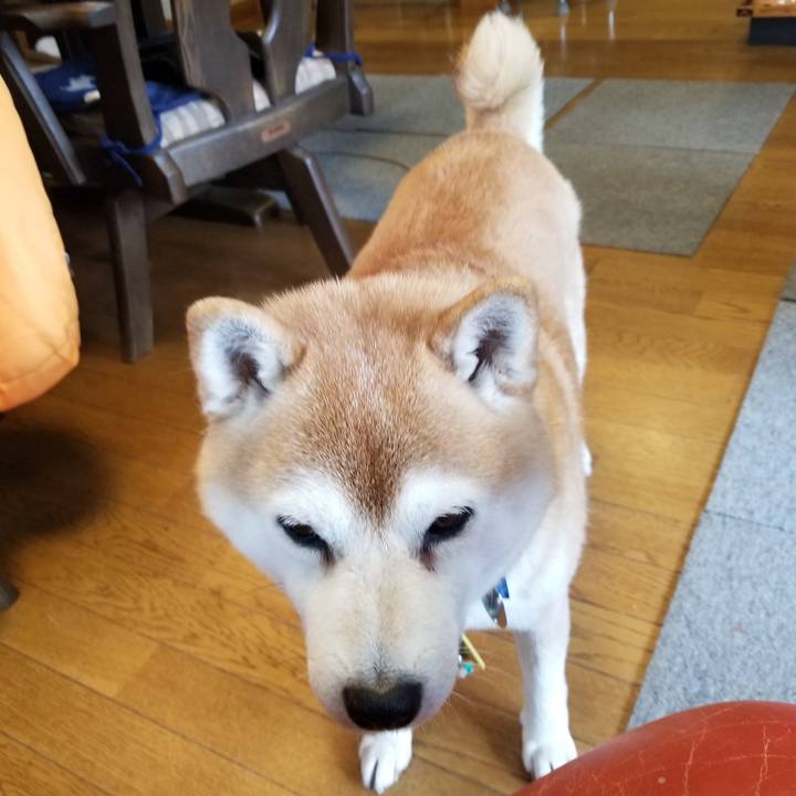 297fbc28 9a0f 4c4c 866b 592608dab3a8 1641354452604