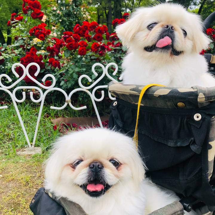 29801f4f 2897 49ec b165 9a0a71ed4d54 1621662569605