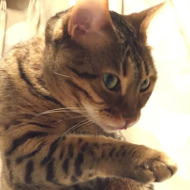 29802c04 c471 4851 ba2c 0f353e843c31 1523331812757