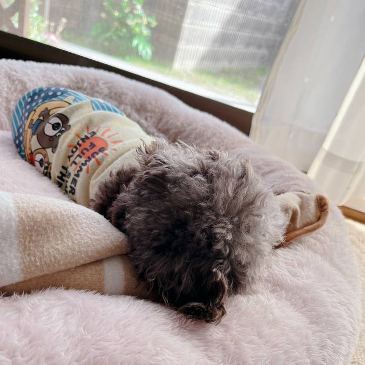 29803b11 6b7b 4b21 9104 9f4095687200 1681283530517