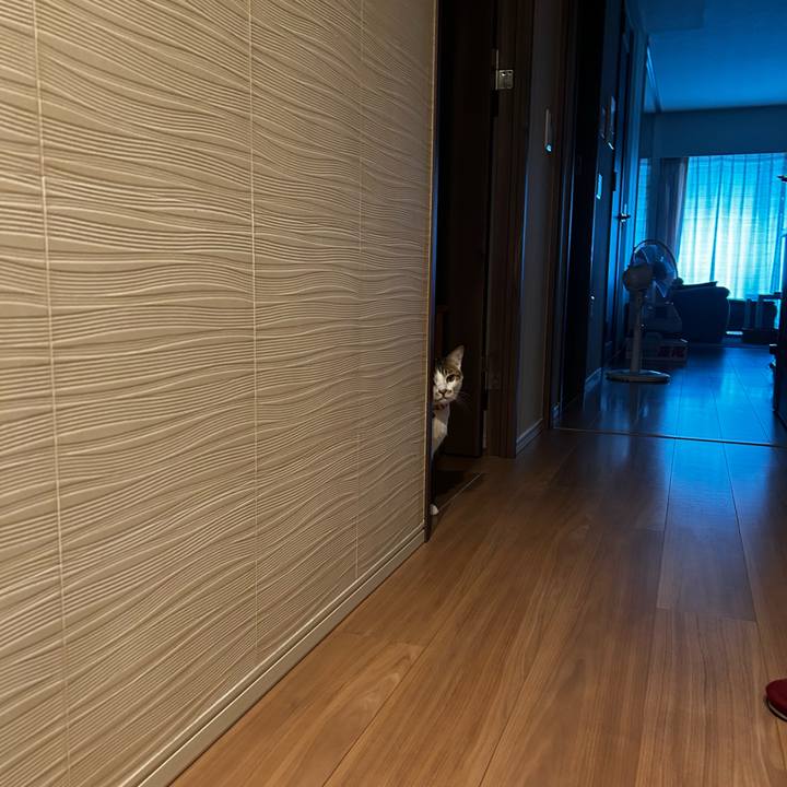 298085b5 1984 4e81 afd5 5fb3ef29ea80 1756421450238