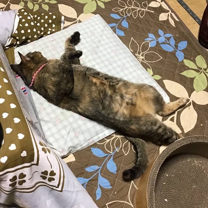 298095e9 8674 4caf 9791 d5d9d2f89087 1734770820952