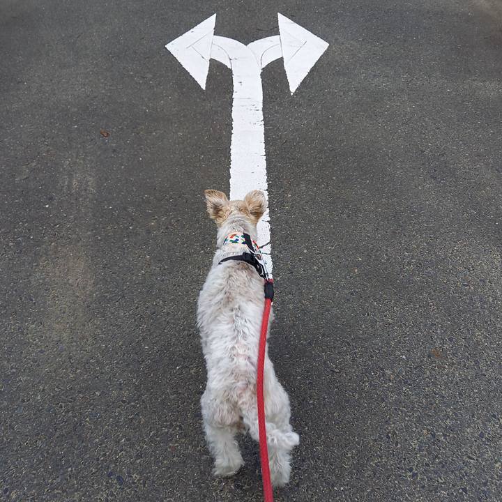 2980aedd ddb2 483a ab1c d88c06588a3d 1622280871777