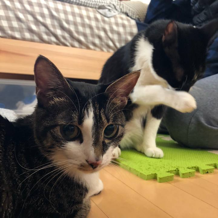 2980b344 38ad 42da 9d22 652adc64bae2 1547374036160