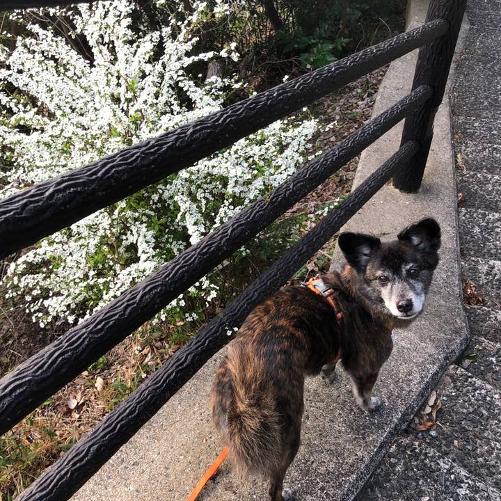 298117d2 5f3f 4043 9a68 0c1c5cda8cad 1679298351419