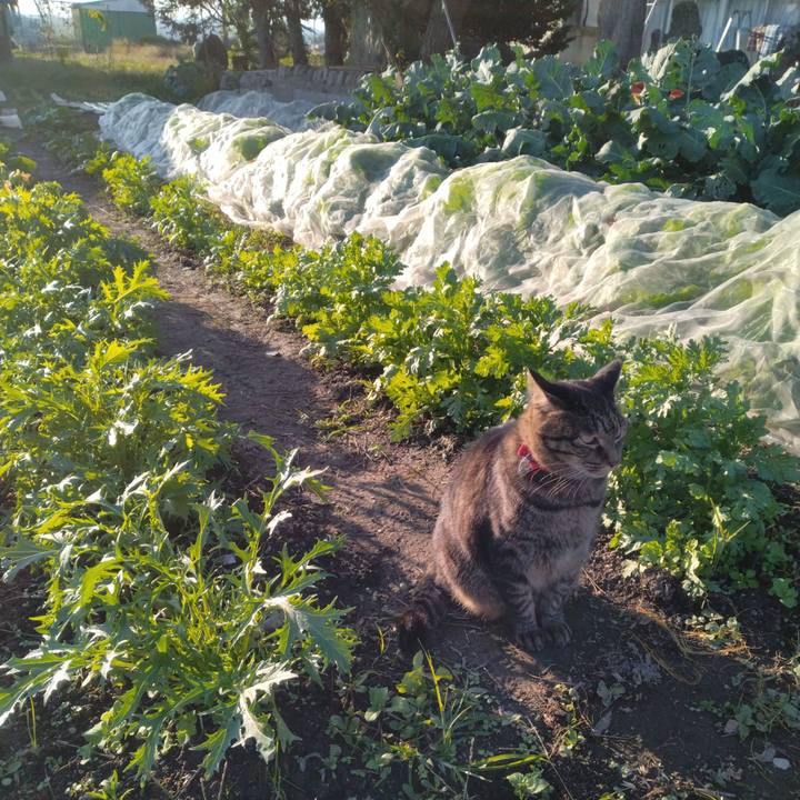 29812f4c 3f02 4725 af3a 0873f73b6477 1697100231902