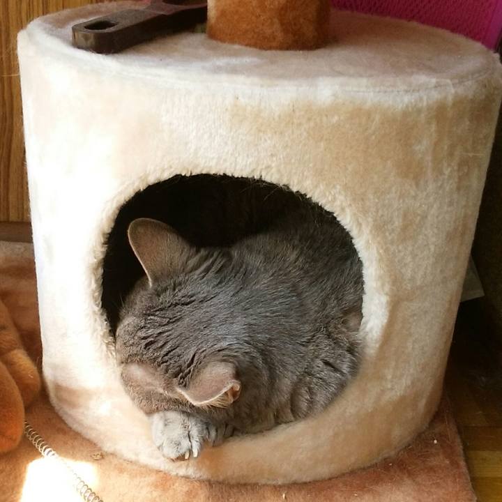 29814844 e759 4d13 83bc b5ec624e36fa 1589680375920