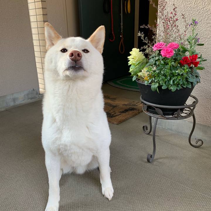 29818eb9 125a 4329 aaba 6d4de987756c 1552516037217