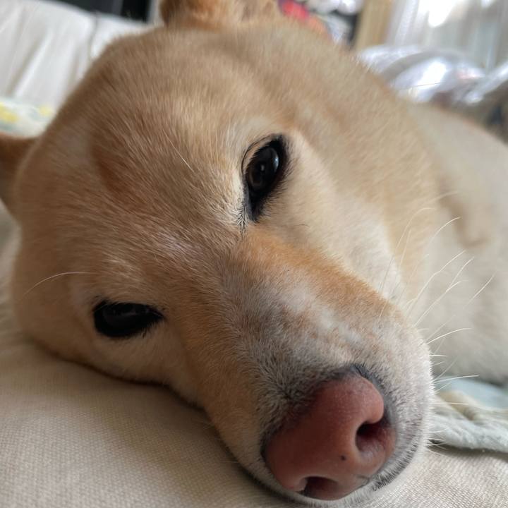 2981d490 1c69 460f 8813 81b97e3c4af7 1662776945944