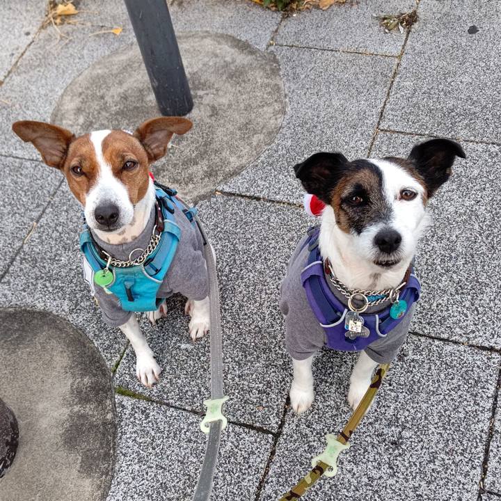 2981db13 e888 4c3e 8902 ac18691369a7 1640301799479