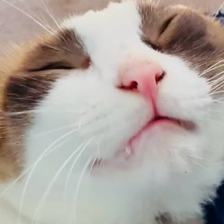 2981e214 fcea 4f58 80fd 1b292186e10b 1757901984171