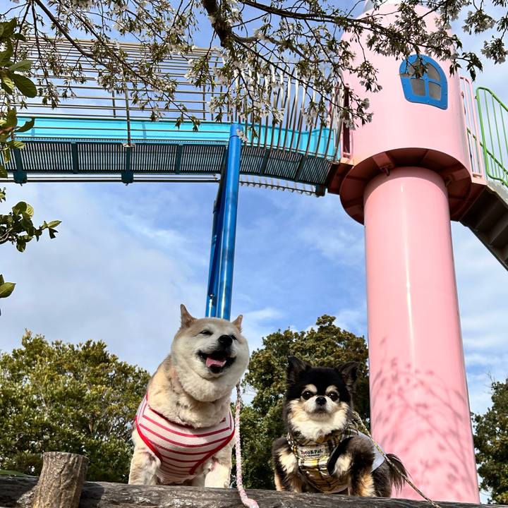 2981fc4b 5c42 4283 b21b ae6815b8a8b3 1743150892881