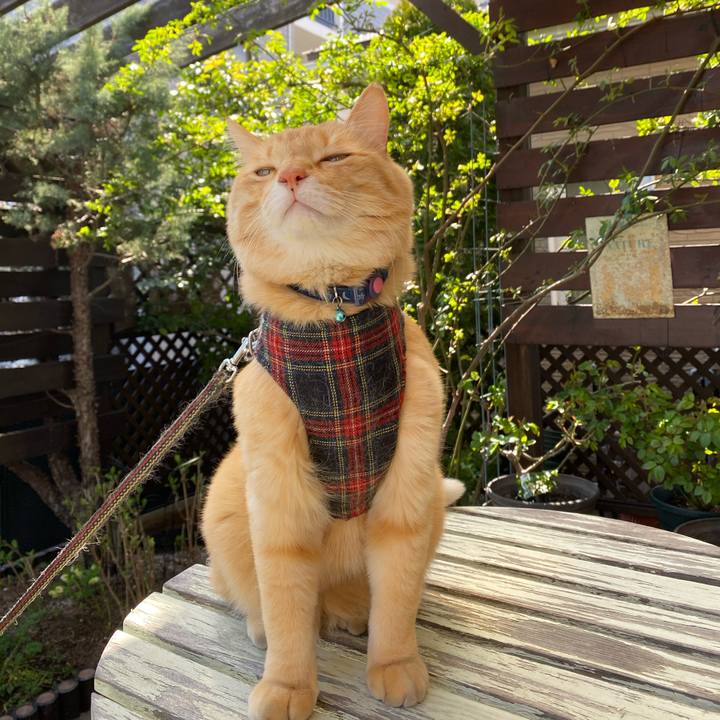 29821754 1632 40d0 a89d 7dc49f9c1c76 1618201836941