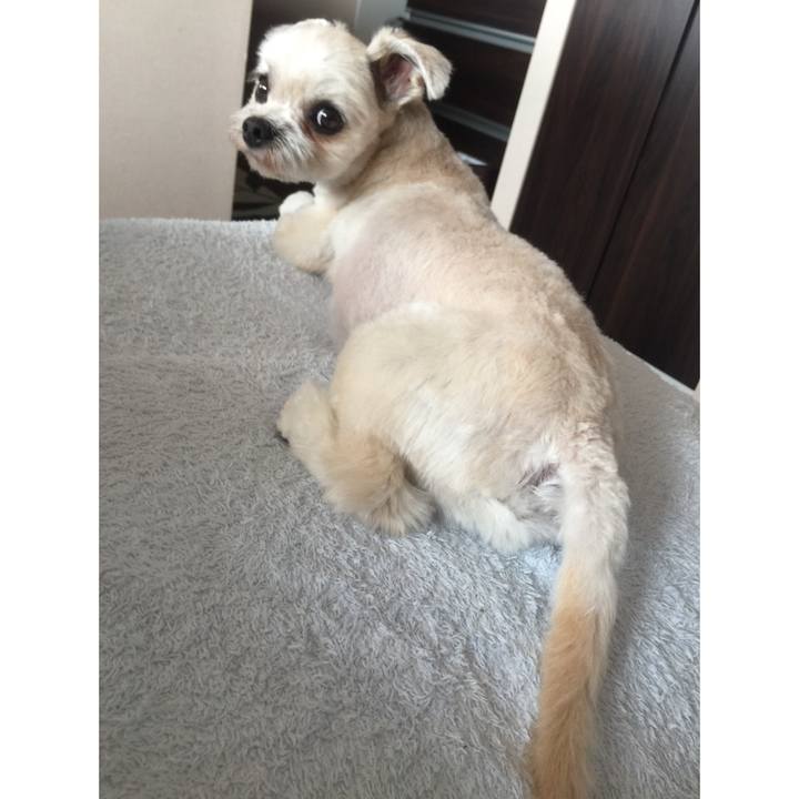 298235d7 1f59 4cb2 813c da4f2174ce3c 1530925174301