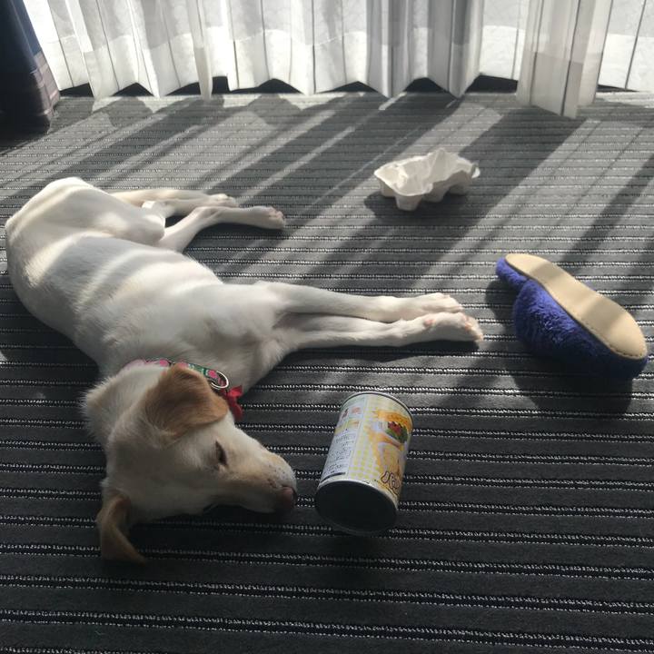 29823ea2 527f 418d 94f7 4567a6ea4171 1520174061955