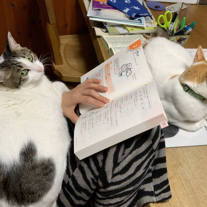 2982680c 920b 4d8e aa5a d33ceb6cee63 1583936001823