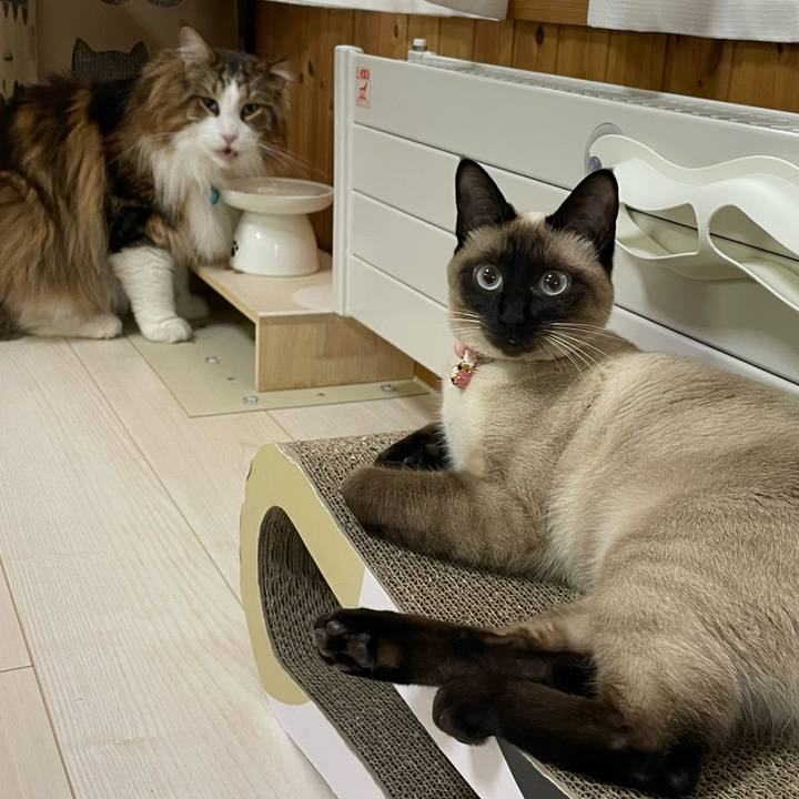 2982820f 75ac 4ae2 99fb 973c0b40752c 1713302472089