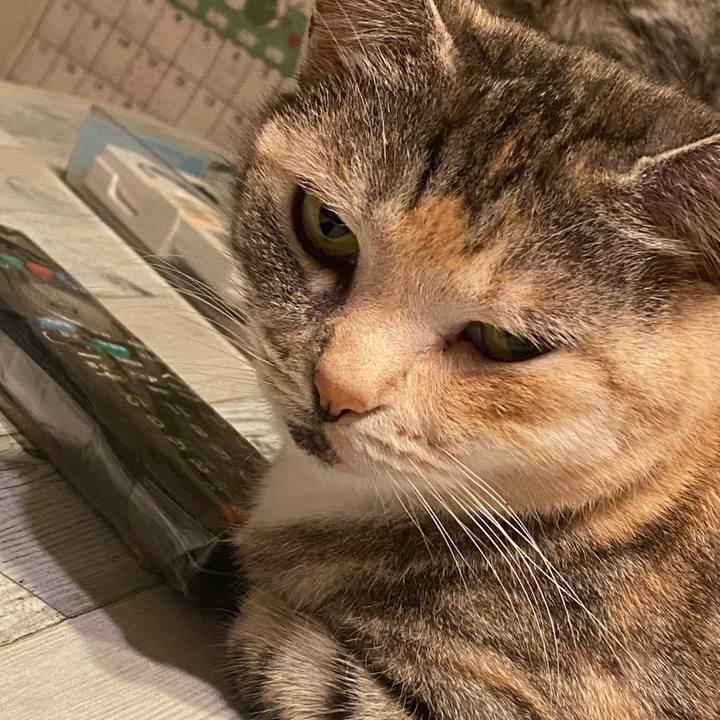 2982a970 8762 476c 8c23 85c92be41ce8 1584455471436